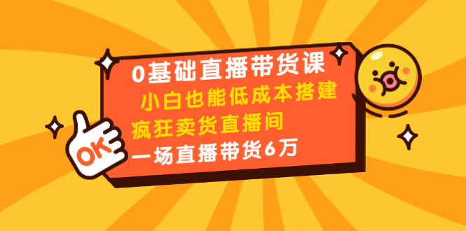 0基础直播带货课：小白也能低成本搭建疯狂卖货直播间：1场直播带货6万-则成副业项目资源站