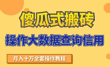 搬砖操作大数据查询信用项目赚钱教程，祝你快速月入6万-则成副业项目资源站