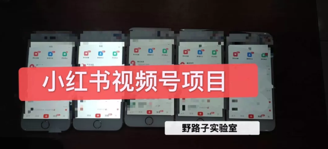 野路子小红书视频号1.0项目，直接上手操作就能赚钱的视频号项目-则成副业项目资源站