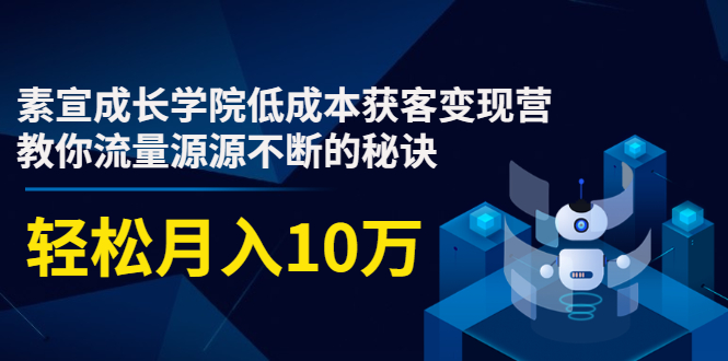 素宣成长学院低成本获客变现营，教你流量源源不断的秘诀，轻松月入10万-则成副业项目资源站