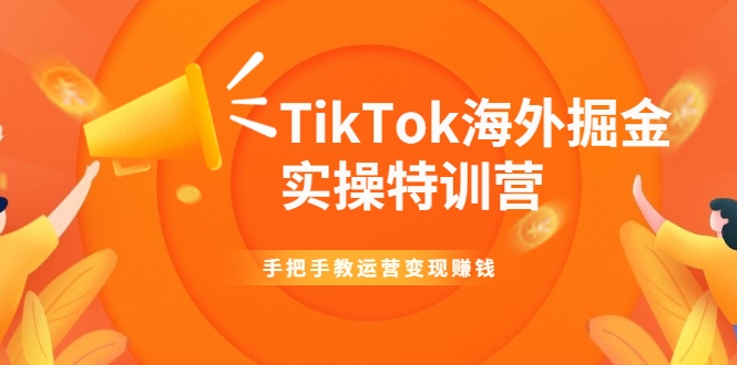 TikTok海外掘金实操特训营：手把手教运营变现赚钱-则成副业项目资源站