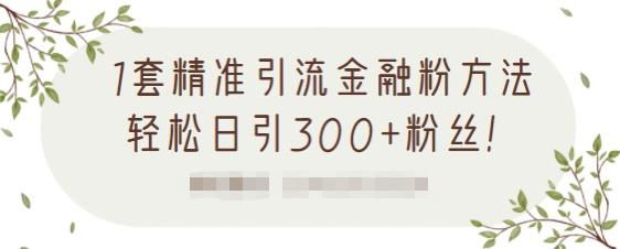 1套精准引流金融粉方法，轻松日引300+粉丝-则成副业项目资源站