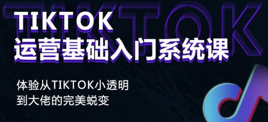 Tiktok实操进阶课程，体验从tiktok小透明到大佬的完美蜕变-则成副业项目资源站