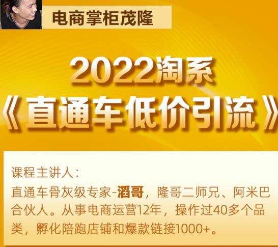 茂隆2022直通车低价引流玩法,教大家如何低投入高回报的直通车玩法-则成副业项目资源站