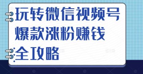 玩转微信视频号爆款涨粉赚钱全攻略,让你快速抓住流量风口,收获红利财富-则成副业项目资源站