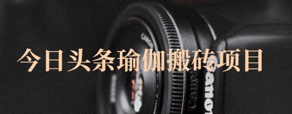 猎人社区·今日头条瑜伽搬砖项目，单号一天几十收入，可以批量操作！-则成副业项目资源站