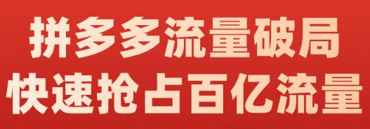 阿杰·拼多多流量破局:如何打黑标，爆款的思路，拼多多流量框架，快速抢占百亿流量-则成副业项目资源站