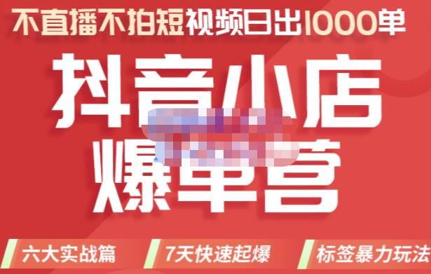 推易电商·2022年抖音小店爆单营，不直播、不拍短视频、日出1000单，暴力玩法-则成副业项目资源站