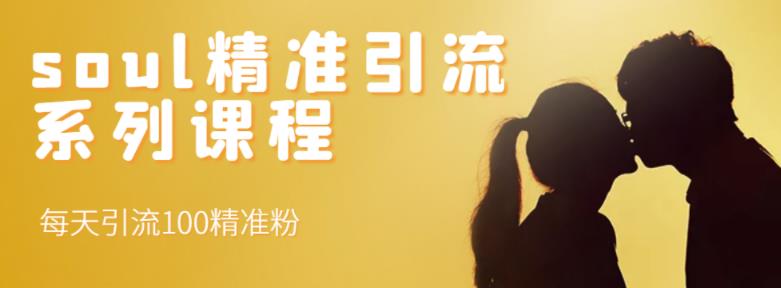 soul精准引流系列课程,每天引流100精准粉-则成副业项目资源站