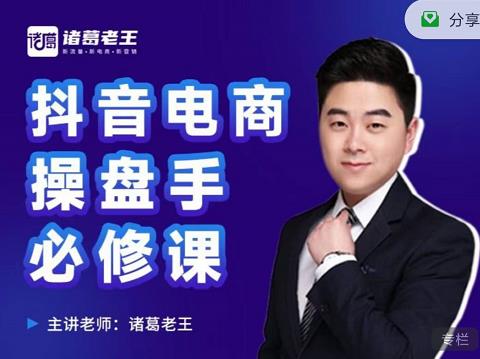 诸葛老王-抖音电商操盘手必修课：顶层设计，​起号破局，爆款运营，数据分析-则成副业项目资源站