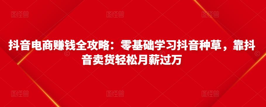 抖音电商赚钱全攻略：零基础学习抖音种草，靠抖音卖货轻松月薪过万-则成副业项目资源站