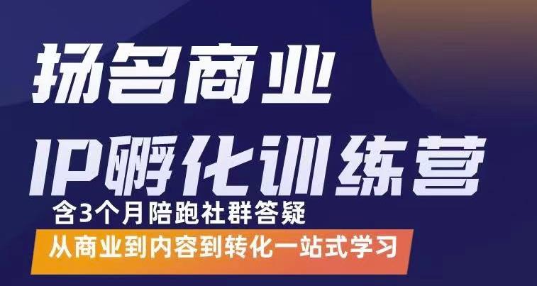 杨名商业IP孵化训练营,从商业到内容到转化一站式学 价值5980元-则成副业项目资源站