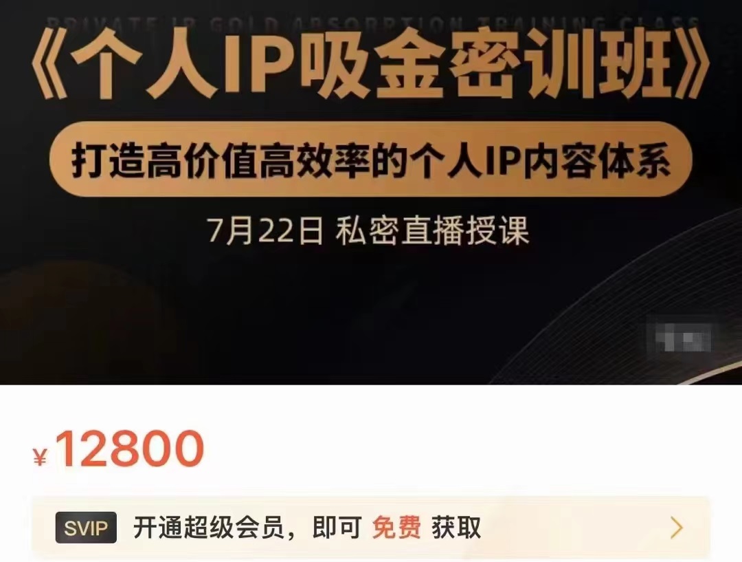 个人IP吸金密训班，打造高价值高效率的个人IP内容体系（价值12800元）-则成副业项目资源站