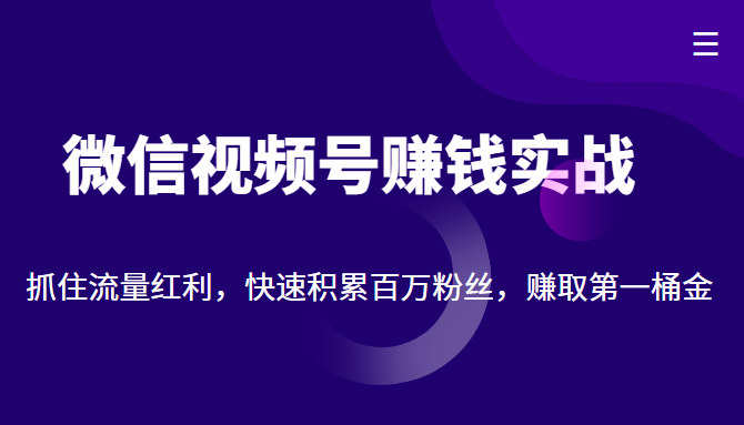 微信视频号赚钱实战：抓住流量红利，快速积累百万粉丝，赚取你的第一桶金-则成副业项目资源站