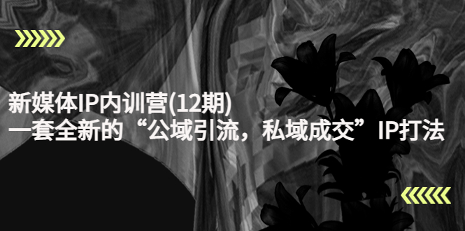 新媒体IP内训营(12期),一套全新的“公域引流,私域成交”IP打法,直接带走-则成副业项目资源站