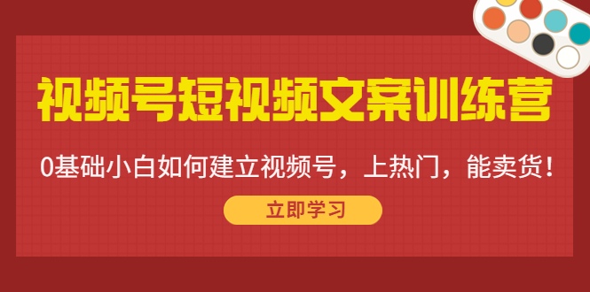 视频号短视频文案训练营：0基础小白如何建立视频号，上热门，能卖货！-则成副业项目资源站