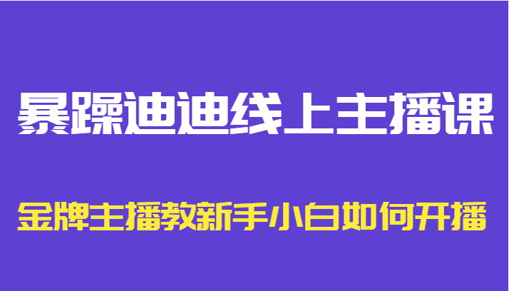 暴躁迪迪线上主播课，金牌主播教新手小白如何开播-则成副业项目资源站
