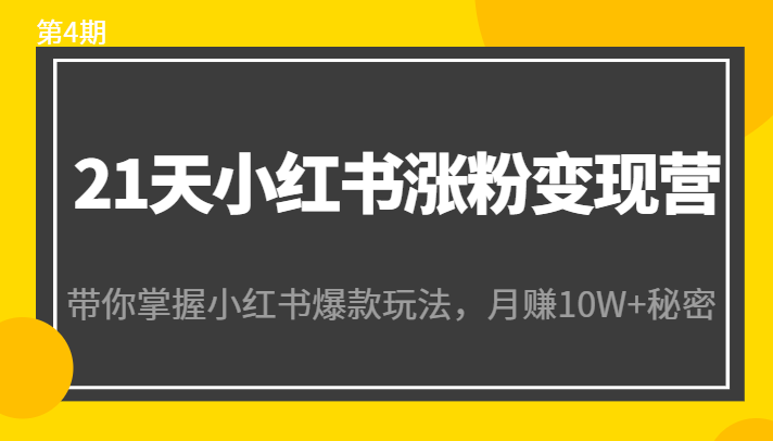 21天小红书涨粉变现营（第4期）：带你掌握小红书爆款玩法，月赚10W+秘密-则成副业项目资源站