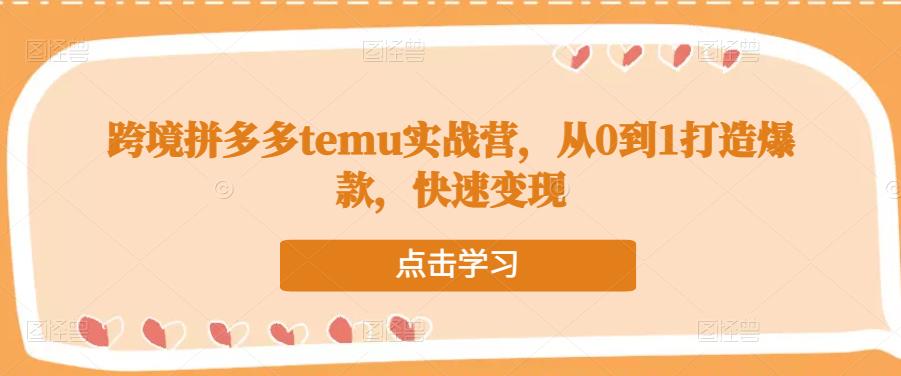 跨境拼多多temu实战营,从0到1打造爆款,快速变现-则成副业项目资源站