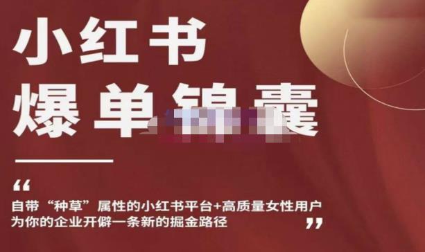 小红书爆单锦囊，自带种草属性+高质量女性用户，为你的企业开辟一条新的掘金路径-则成副业项目资源站