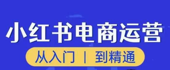 顽石小红书电商高阶运营课程,从入门到精通,玩法流程持续更新-则成副业项目资源站