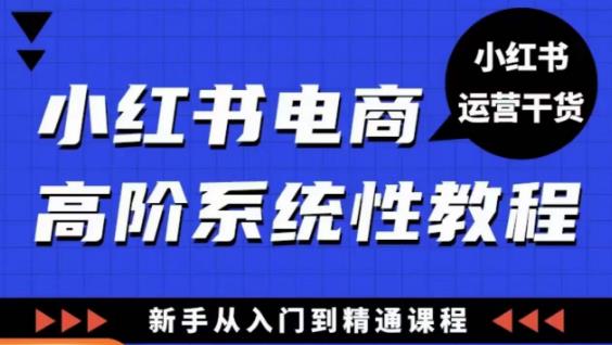 小红书电商高阶系统教程,新手从入门到精通系统课-则成副业项目资源站