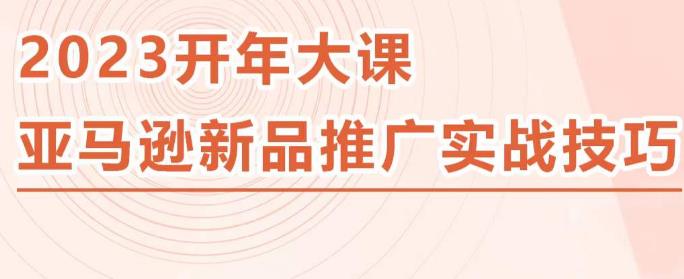 2023亚马逊新品推广实战技巧，线下百万美金课程的精简版，简单粗暴可复制，实操性强的推广手段-则成副业项目资源站