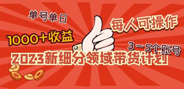 2023新细分领域带货计划：单号单日1000+收益不难，每人可操作3-5个账号-则成副业项目资源站