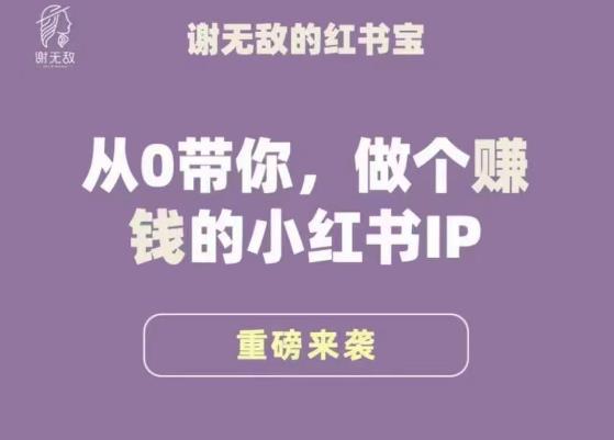 谢无敌·小红书运营大宝典,从0带你做个赚钱的小红书IP-则成副业项目资源站
