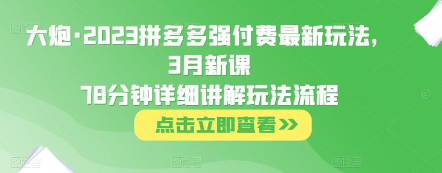 大炮·2023拼多多强付费最新玩法，3月新课​78分钟详细讲解玩法流程-则成副业项目资源站