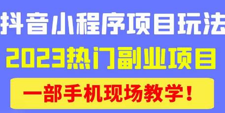 抖音小程序9.0新技巧，2023热门副业项目，动动手指轻松变现-则成副业项目资源站