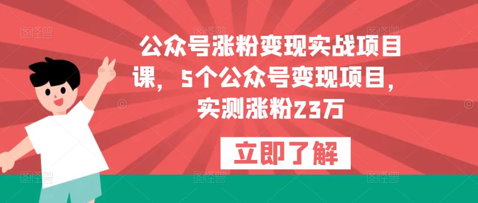 公众号涨粉变现实战项目课,5个公众号变现项目,实测涨粉23万-则成副业项目资源站
