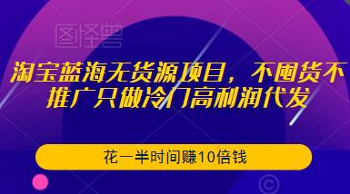 淘宝蓝海无货源项目,不囤货不推广只做冷门高利润代发,花一半时间赚10倍钱-则成副业项目资源站