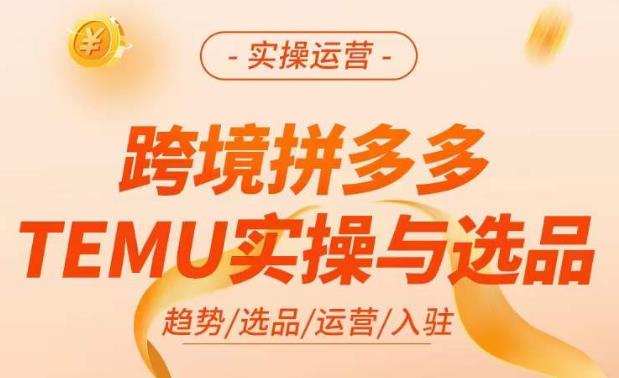 跨境拼多多TEMU实操与选品，​掌握平台运营方法技巧，选品避坑12条标准，爆款的底层思路等-则成副业项目资源站