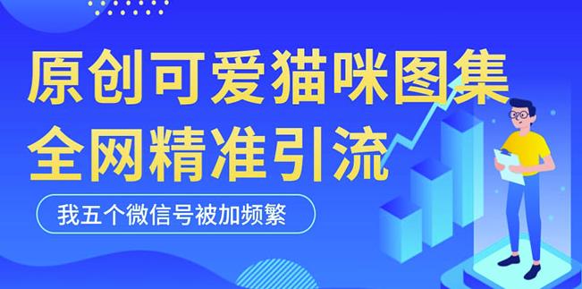 黑科技纯原创可爱猫咪图片,全网精准引流,实操5个VX号被加频繁-则成副业项目资源站
