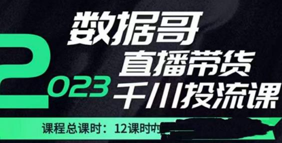数据哥2023直播电商巨量千川付费投流实操课，快速掌握直播带货运营投放策略-则成副业项目资源站