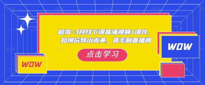 哈哥·3月线下实操课高清视频+课件，如何玩转小而美，高毛利直播间-则成副业项目资源站
