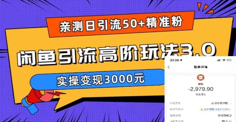 亲测日引50+精准粉，闲鱼引流高阶玩法3.0，实操变现3000元【揭秘】-则成副业项目资源站