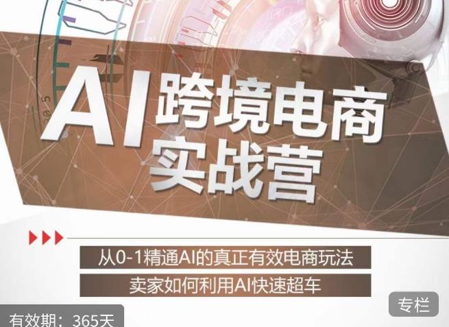 白龙老师·AI跨境电商实战营:从0-1精通Al的真正有效电商玩法,卖家如何利用Al快速超车-则成副业项目资源站