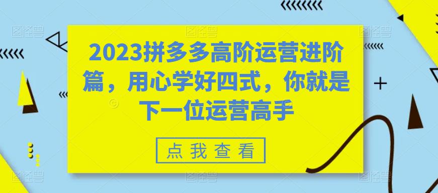 2023拼多多高阶运营进阶篇，用心学好四式，你就是下一位运营高手-则成副业项目资源站