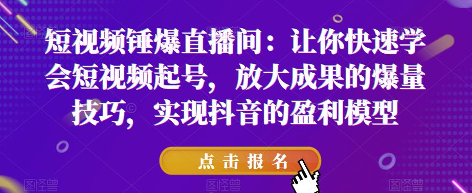 短视频锤爆直播间：让你快速学会短视频起号，放大成果的爆量技巧，实现抖音的盈利模型-则成副业项目资源站