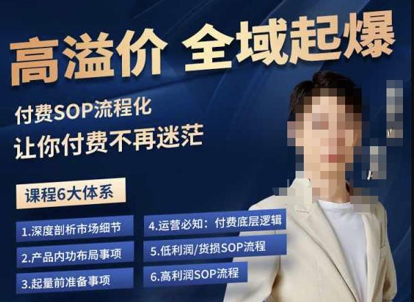 逸风-拼多多高溢价全域起爆,6大课程体系,付费玩法全套实操-则成副业项目资源站