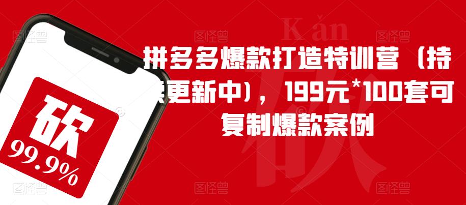 拼多多爆款打造特训营(持续更新中),199元*100套可复制爆款案例-则成副业项目资源站