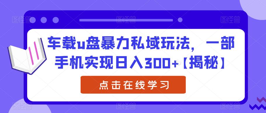 车载u盘暴力私域玩法,一部手机实现日入300+【揭秘】-则成副业项目资源站