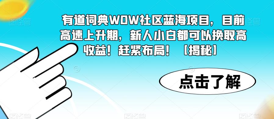 有道词典WOW社区蓝海项目，目前高速上升期，新人小白都可以换取高收益！赶紧布局！【揭秘】-则成副业项目资源站