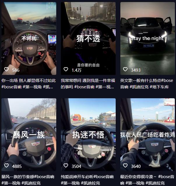 抖音开车视频项目,0基础操作,每天五分钟,月入1W+【揭秘】-则成副业项目资源站