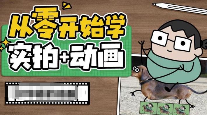 从零开始学实拍加动画,实拍加动画创意教程-则成副业项目资源站