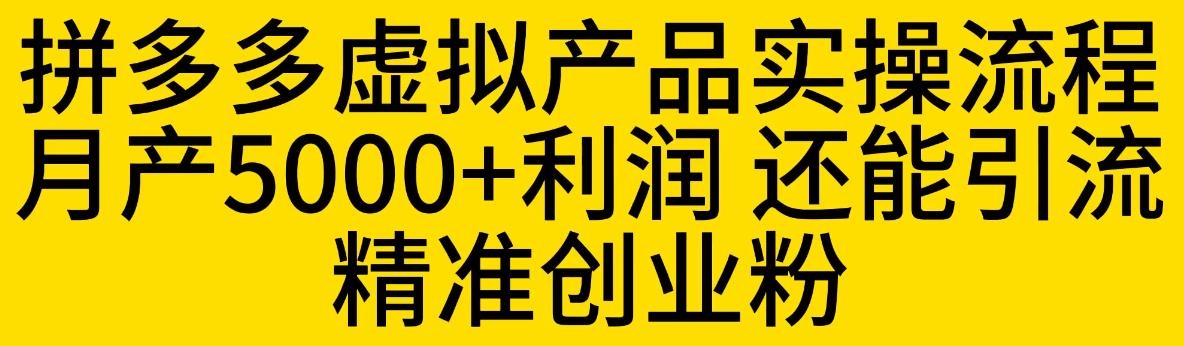 拼多多虚拟产品实操流程，月产5000+利润，还能引流精准创业粉【揭秘】-则成副业项目资源站