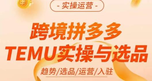 伍跃·跨境拼多多TEMU实操与选品,趋势/选品/运营/入住(27节完整)-则成副业项目资源站