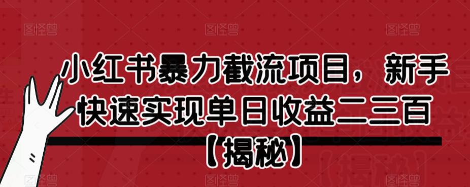 小红书暴力截流项目，新手快速实现单日收益二三百【仅揭秘】-则成副业项目资源站